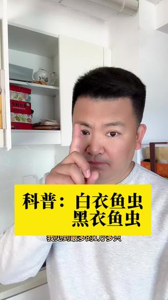 厨房里竟然也有衣鱼虫 衣鱼虫无处不钻,各处都有,饭碗也爬进爬出#衣鱼 #衣鱼虫 #衣鱼危害