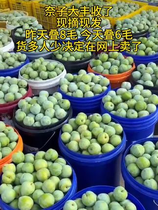 #余李 大丰收了,脆甜多汁,真的巨好吃#口感特别好 #强烈推荐 #优质农产品 #应季水果 @抖加🔥上热门🔥dou+🔥热点宝 @抖音小助手