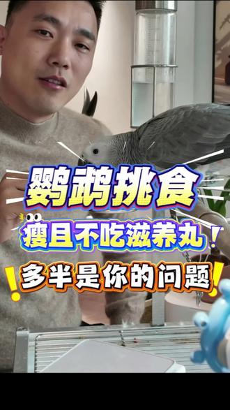 你的鹦鹉是不是很挑食,来看看是否对你有帮助?#养鸟 #养鸟日常 #新手养鸟 #鹦鹉 #异宠