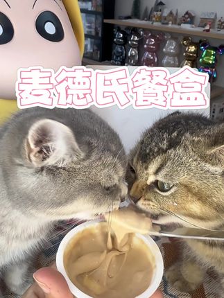 麦德氏绵羊奶主食餐盒 原料采用新西兰甄选绵羊奶,好吃又营养。助力你家宝子健康成长。#麦德氏绵羊奶主食餐盒 #麦德氏 #麦德氏主食餐盒