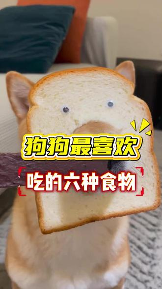 狗狗最喜欢吃的六种食物#新手养狗 #科学养宠攻略 #萌宠出道计划 #养狗经验分享
