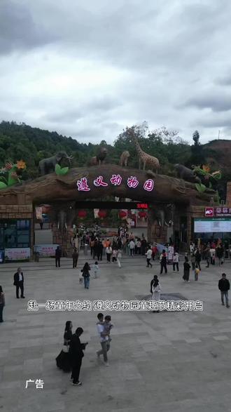 5.30-6.7相约遵义动物园第一届童趣节,怀旧打卡、特色专场精彩不断!暑期畅玩票、亲子票超值上线,解锁六一夏日欢乐时光
#动物园 #六一节快乐 #六一就是要快乐呀 #遵义动物园第一届童趣节
