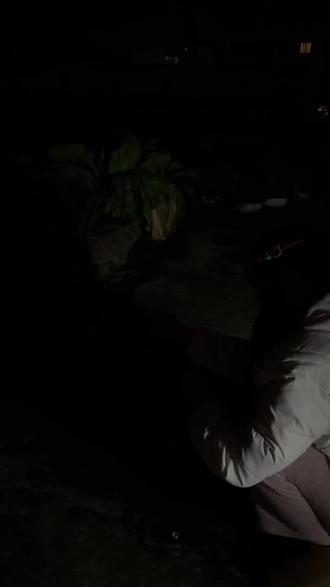 不嘻嘻,嘴都给我喷麻了🙂
#仙女棒喷火 #烟花 #搞笑 #破防 #一秒都不用剪