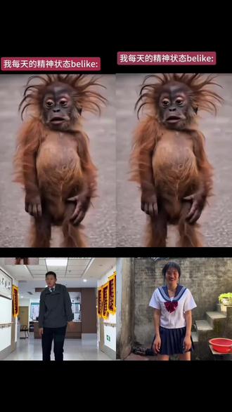 Al红毛猩猩舞蹈指令教程!#猴子跳舞ai 猩猩跳舞视频原版网红 红猩猩跳舞 红毛猩猩舞蹈原版 红毛猩猩舞蹈模仿 ai跳舞 红毛猩猩舞蹈趣事 #即梦AI#AI分身戏精大赛#我的AI分身杀疯了#Seedance2.0