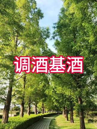调酒的快乐!#漂亮酒 #白朗姆 #仙女都在喝什么 #微醺时刻 #在抖音入手的好东西
