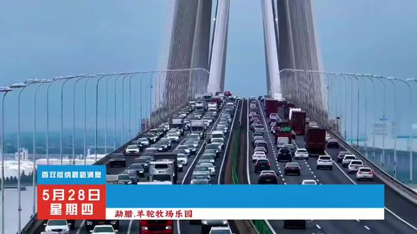 勐腊.羊驼牧场乐园,5月30日正式开启#勐腊羊驼牧场乐园#亲子游玩好去处 #遛娃好去处 #周末去哪玩#旅行推荐官 @DOU+小助手 @DOU+上热门