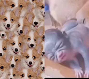 和 @এ᭄ ࿐้: ღ᭄微笑💕前行დ᭄ 一起 #合拍