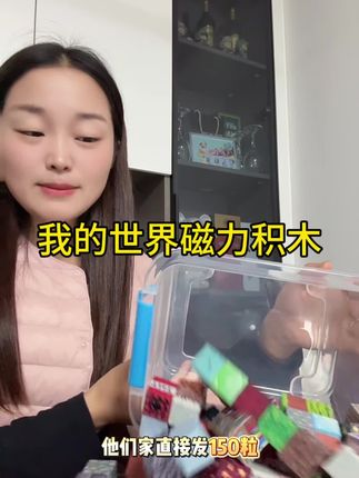 #益智玩具 #积木玩具 #益智积木 #解压视频 #我的世界动画