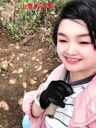 我们的天麻经过3道筛选:只选生长3年以上的老天麻,个头足、养分够;人工剪去须根,不用你二次处理;独立真空包装,放多久都新鲜。送出去,爸妈不用费心辨真假,切片炖排骨、煮水喝都方便。比起华而不实的礼盒,这份“能吃进嘴里的健康”,让他们每天都能感受到你的牵挂——毕竟,看着他们不揉头、不捶肩,才是做儿女最踏实的幸福。