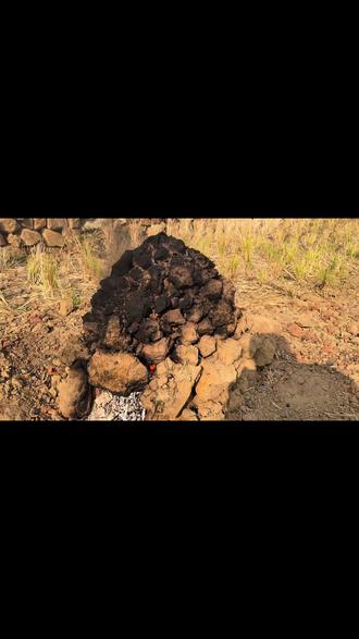 #窑鸡
广西人的“科目四”你考了吗?🚗❌
我们考的是——窑鸡科目四!🔥
泥巴是试卷,柴火是油门,
鸡熟了就是通过考试!🍗✅
#广西窑鸡 #薯煲歌 #广西美食