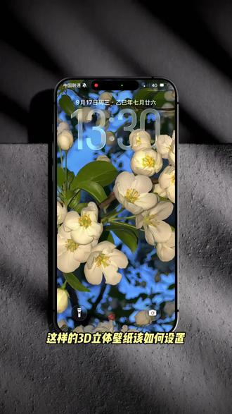 安卓也能用的裸眼3D壁纸制作教程来啦~#醒图 #醒图创作者#裸眼3D壁纸 #安卓3d裸眼壁纸 #空间壁纸 空间壁纸制作 3D壁纸制作教程 安卓3D壁纸设置教程 醒图裸眼3D教程 裸眼3D壁纸怎么设置 oppo裸眼3D壁纸教程 动态壁纸 小米裸眼3D壁纸教程