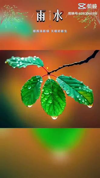 初二遇雨水指农历正月初二这天下雨,民间认为此日降雨预示当年雨水充沛、庄稼有好收成,也是出门走亲访友时可能遇到的天气情况。