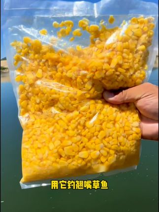 超便宜的打窝玉米,钓翘嘴草鱼打窝超划算。 #玉米窝料 #钓翘嘴 #钓草鱼