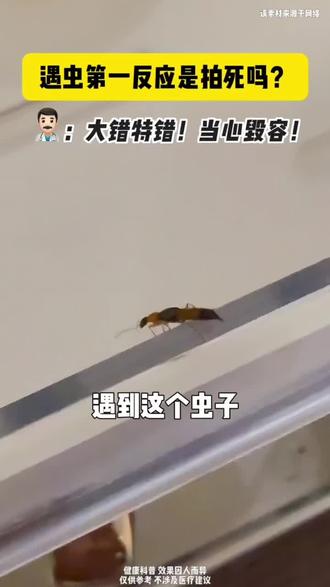 有多少人因为这个虫子毁容了? #隐翅虫