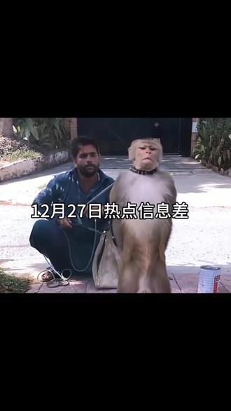 12月27日热点信息差#热点#抽象 #社会百态 #流量 #
