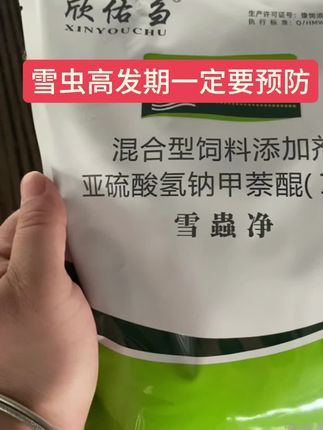 #牛羊养殖 #现场实拍#好物分享#农村生活