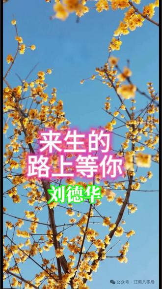 来生的路上有你 刘德华演唱#爱到尽头放手也需要勇气#美好的春天来了 #2026加油@抖音小助手