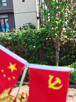 #我爱我的祖国 #五星红旗迎风飘扬 #祖国在我心中 #五星红旗🇨🇳 #国旗摆件
