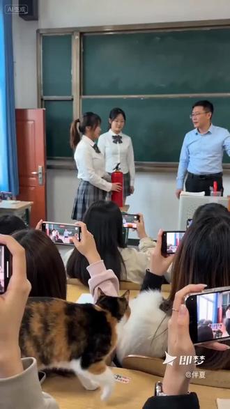 猫踩灭火器喷老师#Seedance2.0#即梦ai#ai分身戏精大赛#我的ai分身杀疯了#猫踩