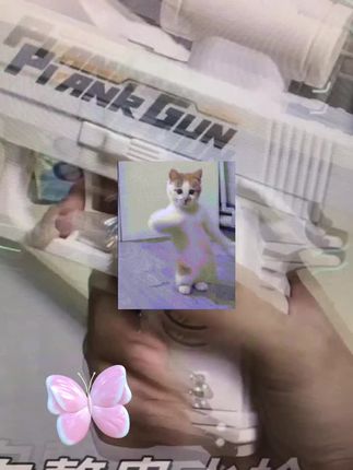 视频同款