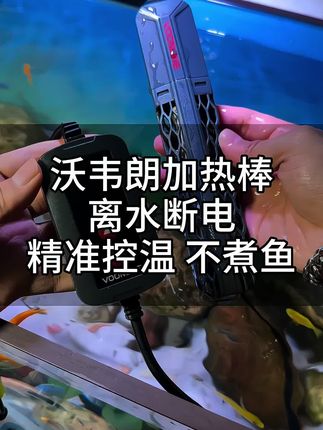 降温养鱼必备!沃韦朗新款加热棒:离水断电+精准控温,淡海水通用!#鱼缸加热棒#加热棒#加热棒推荐#龟缸加热棒#水族用品