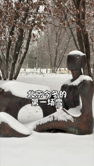 北京今冬的第一场雪❄️#原创视频 #北京今冬初雪已至 #正能量 #生活 #带你看雪景