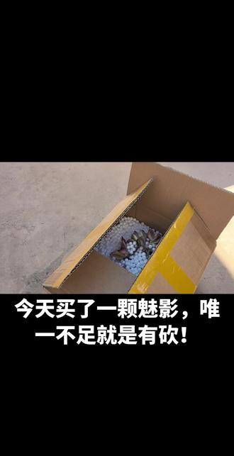 24米买的魅影从林,砍了9个头下来,到底划算不划算🙃#记录多肉生活 #多肉植物 #魅影#多肉养护 #种草激励计划