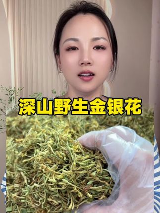 #金银花 #深山野生金银花