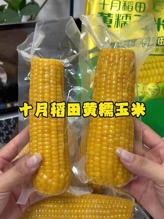 十月稻田的#黄糯玉米 连袋煮了,软糯香甜更方便,又香又软又糯真的好好吃!#糯玉米 #粗粮 #软糯香甜 #优质农产品