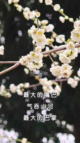 成语接龙,中国文化,博大精深,源远流长,在写作和日常语言表达中恰到好处运用成语,很重要。