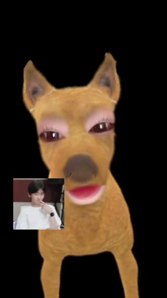 谁懂!!!!!我去!!#奇文#左奇函#杨博文#同人文