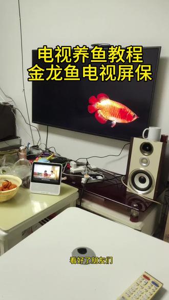 《小丑宝库》电视养鱼教程来啦#金龙鱼电视屏保 #电子养鱼 #养鱼#电视养鱼教程 #电视屏保
电视养鱼、电子养鱼、龙鱼、金龙鱼、钓鱼、鱼、金龙鱼电视屏保教程 电视、tcl电视金龙鱼屏保
