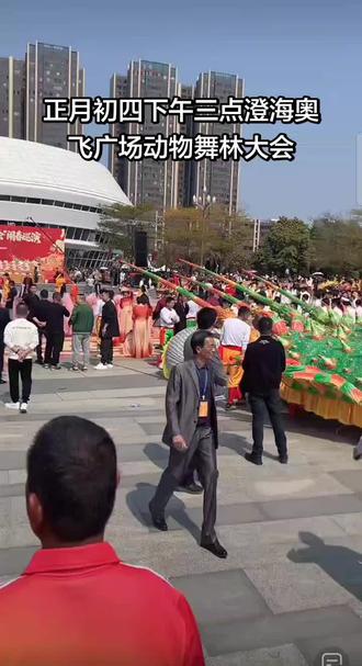 正月初四下午三点澄海奥飞广场动物舞林大会