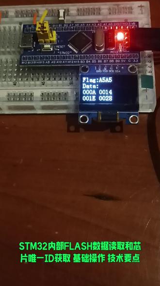 STM32单片机 读写内部FLASH+读取芯片ID 教程源于哔哩哔哩UP主 江协科技