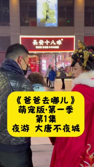 《爸爸去哪儿》萌宠版·第一季·第1集(大唐不夜城)#带着狗狗去旅行 #跟我打卡最红地标 #我和我的狗 #泰迪 #大唐不夜城