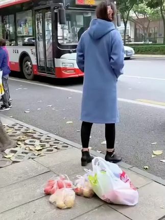 买菜车便携折叠拖轮购物袋超市手拉包带轮子伸缩两用小拉车买菜包 #日常生活拍个小视频 #记得看完