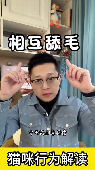 猫咪行为解读——相互舔毛是什么意思?#猫咪#猫咪的迷惑行为 #猫咪行为学 #知识科普