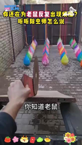 家里老鼠频繁出没?常备驱鼠丸,老鼠不敢进屋!#老房驱鼠 #一楼防鼠