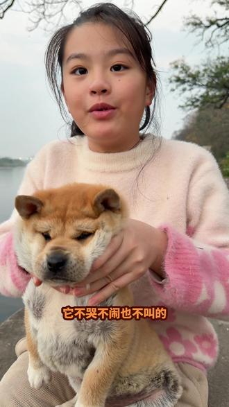 孩子的童年不会同时拥有烦恼与小狗 #家有中华田园犬 #黄狗白面金不换 #治愈