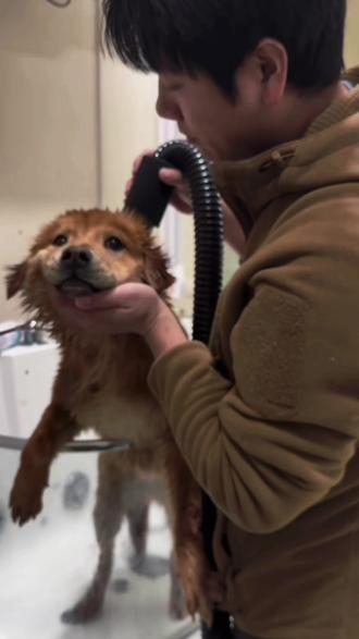 生日快乐骏良哥!#骏良 #莲梅 #明亮与狗 #帅