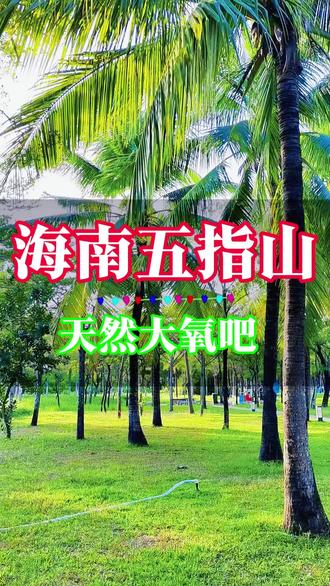 为什么喜欢海南五指山,静谧而温润,在这里自然的做自己#海南#旅行推荐官#热带雨林#天然大氧吧#过冬避寒