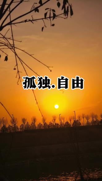 孤独是你有和寂寞共处的能力,而自由是穿越孤独和任何维度和谐共处的能力#孤独#觉醒#修行#提升自我 #自我成长