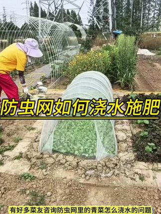 #自己种菜 还是自己种的菜吃着放心#农民种地不容易啊
