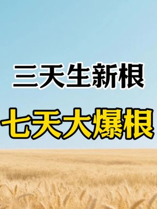 三天生新根,七天大爆根#吲丁萘乙酸 #生根剂 #农业种植 #农业科普