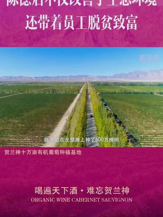 宁夏贺兰山东麓葡萄酒产区贺兰神有机葡萄酒#红酒 #葡萄酒 #干红 #干红葡萄酒 #宁夏贺兰山东麓葡萄酒