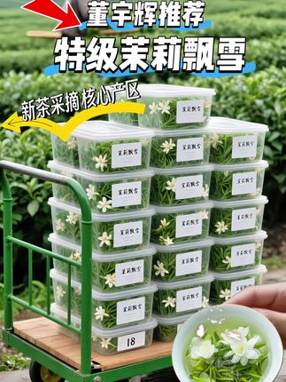 力荐5A特级茉莉飘雪。 茉莉花茶,芬芳千年的魅力。精选茶胚与茉莉鲜花,窨制出独特的鲜香。茶汤明亮,滋味醇厚,叶底匀柔。让你在忙碌的生活中,找到一份宁静与享受。#特级茉莉飘雪#茉莉花茶 #茉莉飘雪#召唤茶友@抖加🔥上热门🔥dou+🔥热点宝 @抖老师流量扶持(快速上热门) @DOU+上热门