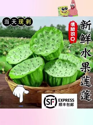 #水果 野生现摘新鲜嫩莲蓬生吃水果即食当季时令甜嫩新鲜莲子#营养健康 #特产 #特产水果 #每日分享