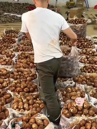 他可不是一般的芋头,果肉绵软细腻,口感软糯,入口如牛奶般丝滑,所以得名牛奶小芋头!#牛奶芋头#芋头 #优质衣产品