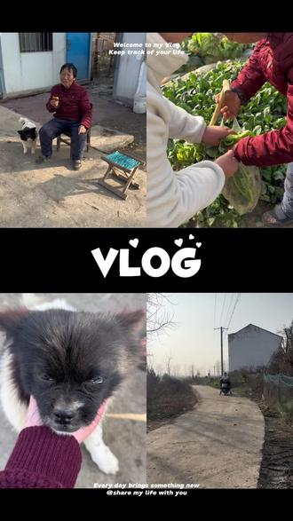 今天是腊月十五,回娘家拿两只老母鸡回来留着下次煲汤#回娘家的感觉真好 #农村生活现实记 #农村生活 #我的乡村生活 #新农人计划