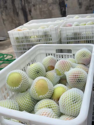 想吃的快拍吧,#口感特别好 #农村生活日常